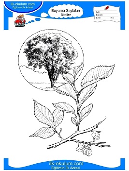 Çocuklar İçin Yaprak Boyama Sayfaları 